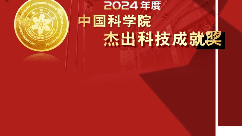 数字化解决方案定制，费用几何？揭秘定制化之路**
